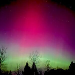 Meet your Posher, Maddie